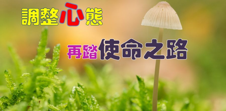 《證主心》274期：封面