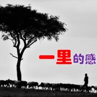《證主心》276期:封面