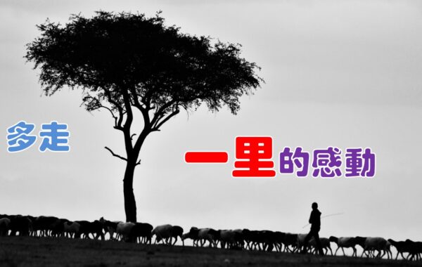 《證主心》276期：封面