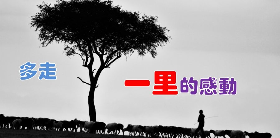 《證主心》276期：封面
