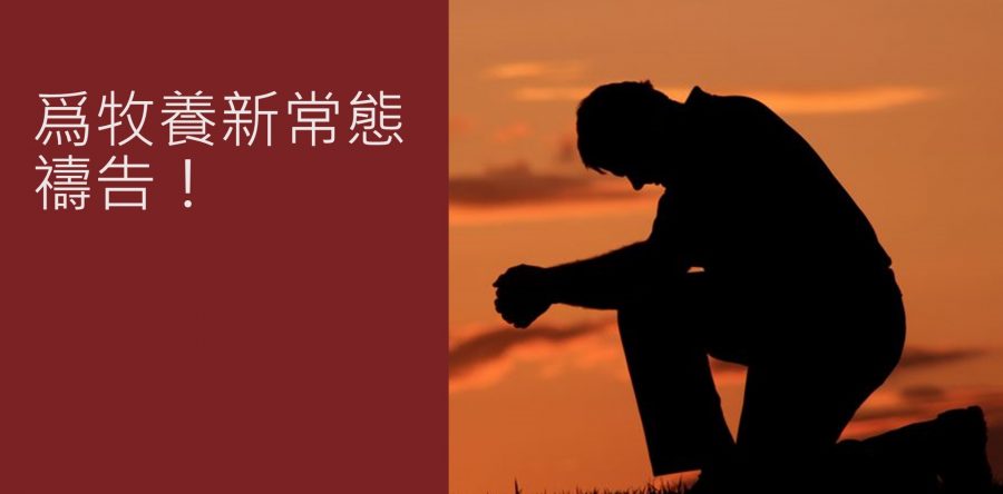 《證主心》277期：展望中華